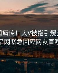 实时丑闻疯传！大V被指引爆全场，爆料网暗网紧急回应网友直呼过瘾