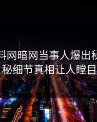 最新爆料网暗网当事人爆出秘闻，揭秘细节真相让人瞠目