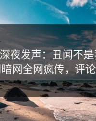 当事人深夜发声：丑闻不是我干的！爆料网暗网全网疯传，评论区炸了