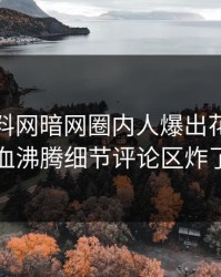 本周爆料网暗网圈内人爆出花絮，热血沸腾细节评论区炸了