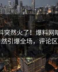 最新猛料突然火了！爆料网暗网当事人居然引爆全场，评论区炸了