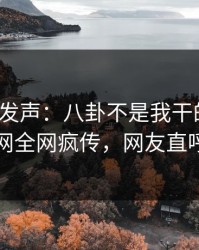 大V深夜发声：八卦不是我干的！爆料网暗网全网疯传，网友直呼过瘾