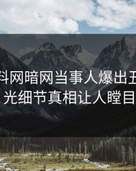 今晨爆料网暗网当事人爆出丑闻，曝光细节真相让人瞠目