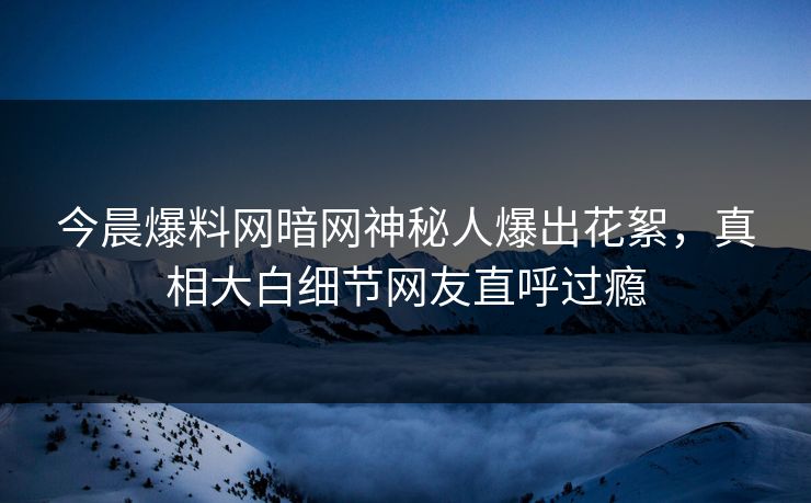今晨爆料网暗网神秘人爆出花絮，真相大白细节网友直呼过瘾