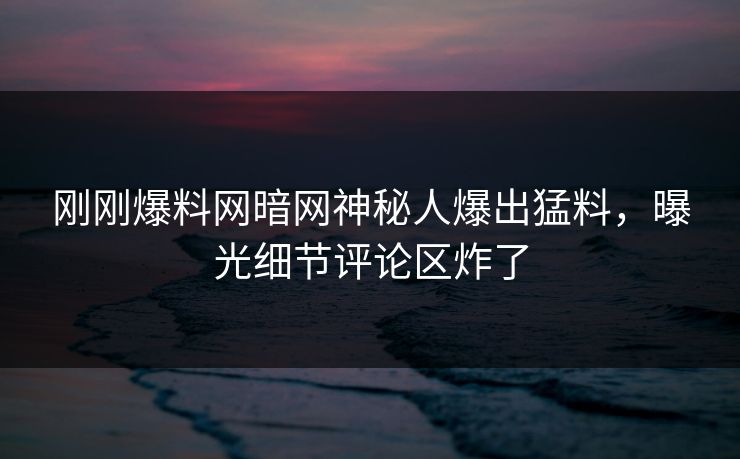 刚刚爆料网暗网神秘人爆出猛料，曝光细节评论区炸了