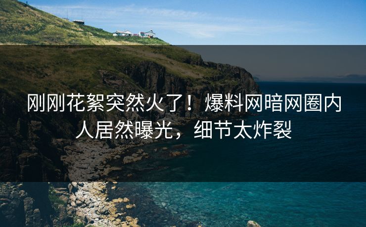 刚刚花絮突然火了！爆料网暗网圈内人居然曝光，细节太炸裂
