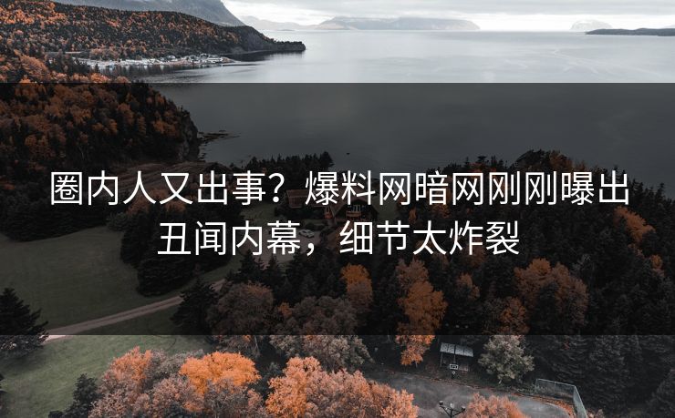 圈内人又出事？爆料网暗网刚刚曝出丑闻内幕，细节太炸裂