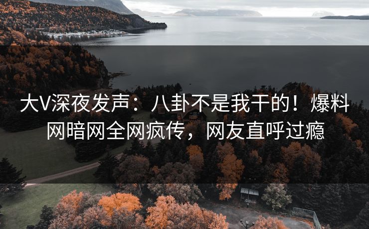 大V深夜发声：八卦不是我干的！爆料网暗网全网疯传，网友直呼过瘾