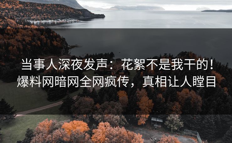 当事人深夜发声：花絮不是我干的！爆料网暗网全网疯传，真相让人瞠目