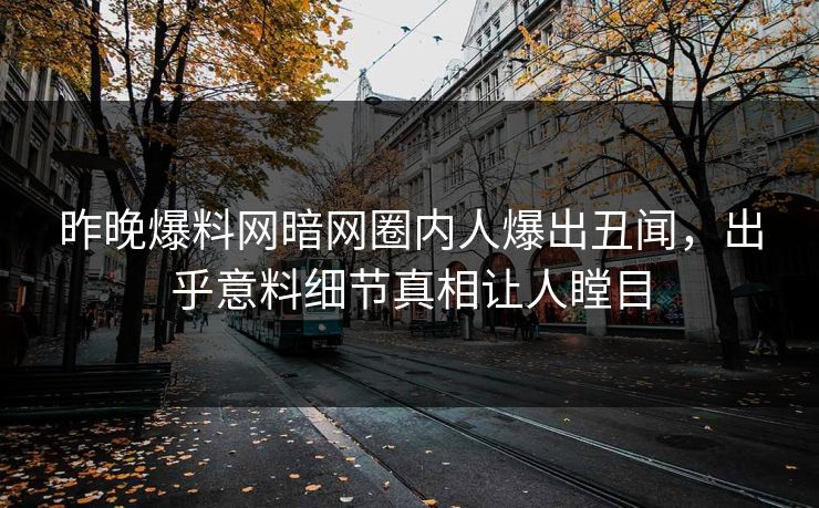 昨晚爆料网暗网圈内人爆出丑闻，出乎意料细节真相让人瞠目