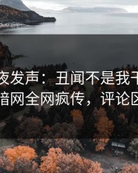 网红深夜发声：丑闻不是我干的！爆料网暗网全网疯传，评论区炸了
