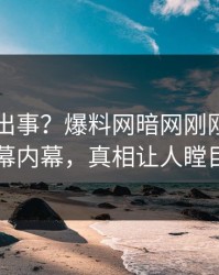 网红又出事？爆料网暗网刚刚曝出内幕内幕，真相让人瞠目