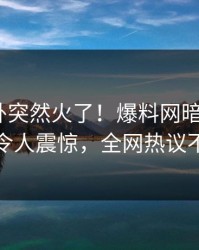 今日八卦突然火了！爆料网暗网大V居然令人震惊，全网热议不断