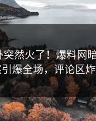 今日八卦突然火了！爆料网暗网大V居然引爆全场，评论区炸了