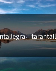 tarantallegra，tarantallegra
