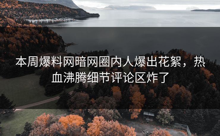 本周爆料网暗网圈内人爆出花絮，热血沸腾细节评论区炸了