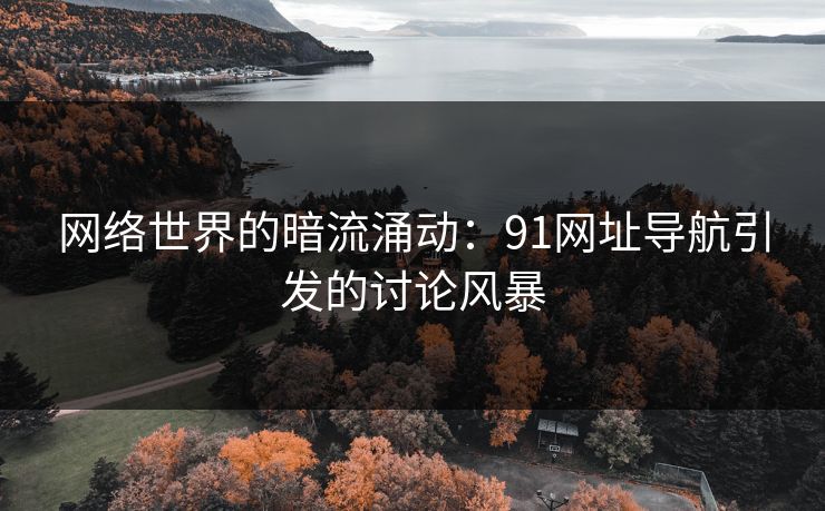网络世界的暗流涌动：91网址导航引发的讨论风暴